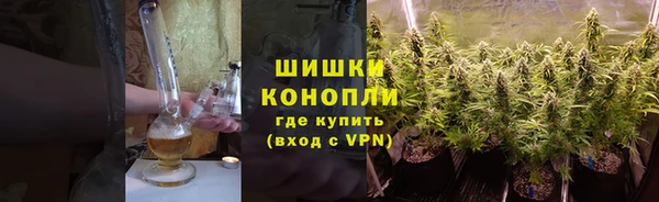 сатива Верхний Тагил