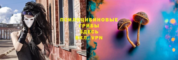 сатива Верхний Тагил