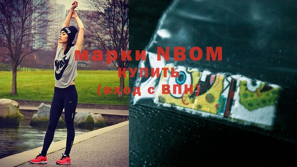 индика Верея