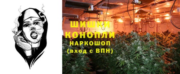 индика Верея