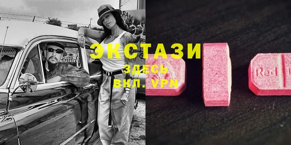индика Верея