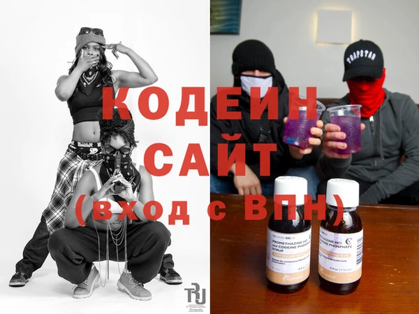 индика Верея