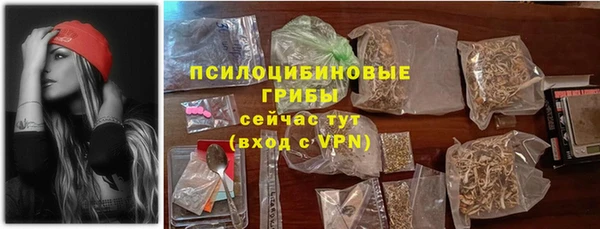 индика Верея