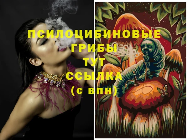 индика Верея