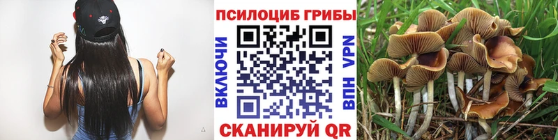 где купить наркоту  Гаджиево  Галлюциногенные грибы мухоморы 